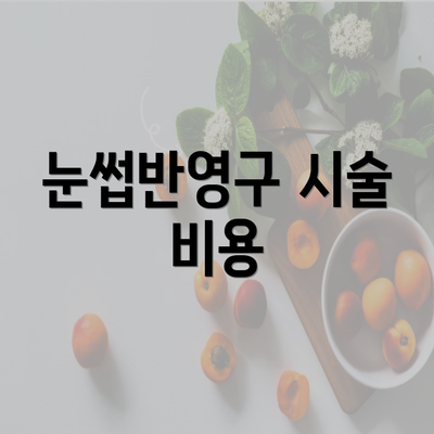 눈썹반영구 시술 비용