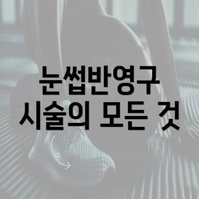 눈썹반영구 시술의 모든 것