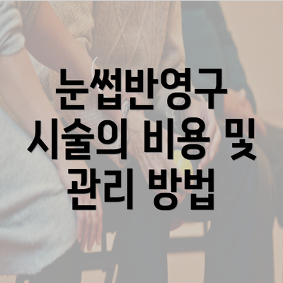 눈썹반영구 시술의 비용 및 관리 방법