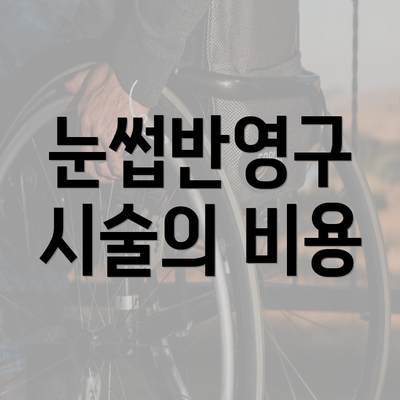 눈썹반영구 시술의 비용