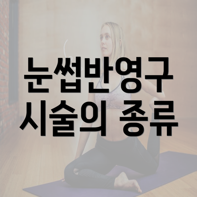 눈썹반영구 시술의 종류