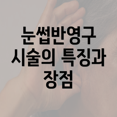 눈썹반영구 시술의 특징과 장점