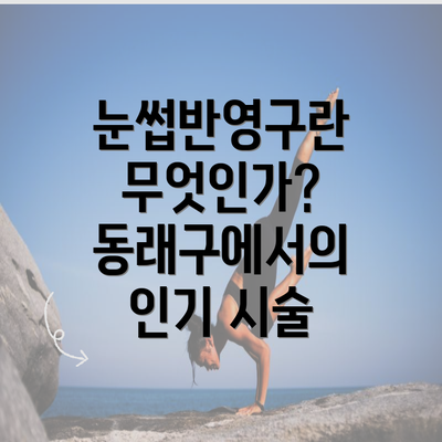 눈썹반영구란 무엇인가? 동래구에서의 인기 시술