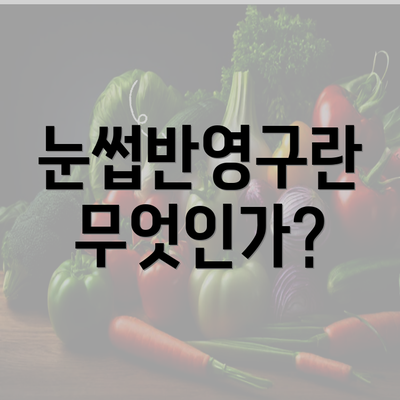 눈썹반영구란 무엇인가?