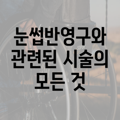 눈썹반영구와 관련된 시술의 모든 것