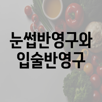 눈썹반영구와 입술반영구