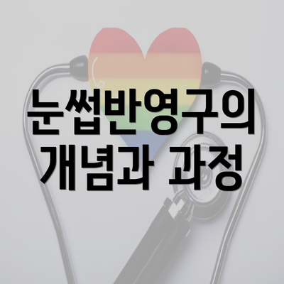 눈썹반영구의 개념과 과정