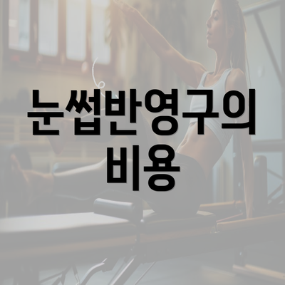 눈썹반영구의 비용