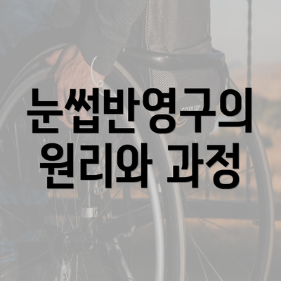 눈썹반영구의 원리와 과정