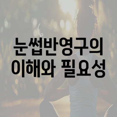 눈썹반영구의 이해와 필요성