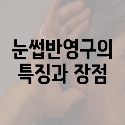 눈썹반영구의 특징과 장점