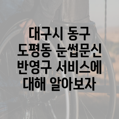 대구시 동구 도평동 눈썹문신 반영구 서비스에 대해 알아보자