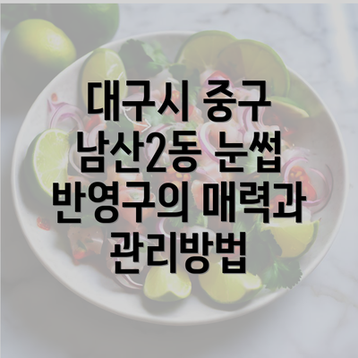 대구시 중구 남산2동 눈썹 반영구의 매력과 관리방법