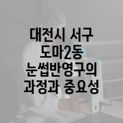 대전시 서구 도마2동 눈썹반영구의 과정과 중요성