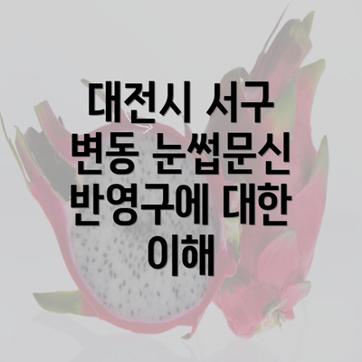 대전시 서구 변동 눈썹문신 반영구에 대한 이해