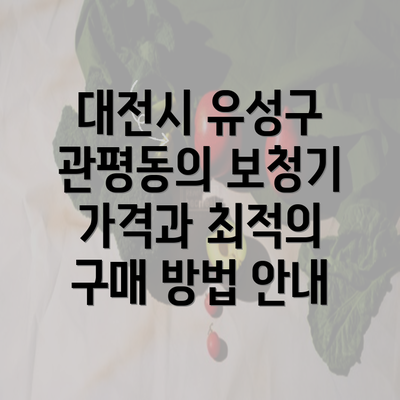 대전시 유성구 관평동의 보청기 가격과 최적의 구매 방법 안내