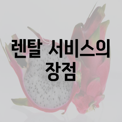 렌탈 서비스의 장점