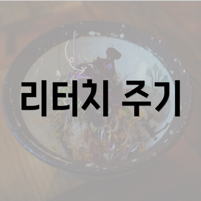 리터치 주기