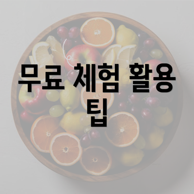 무료 체험 활용 팁