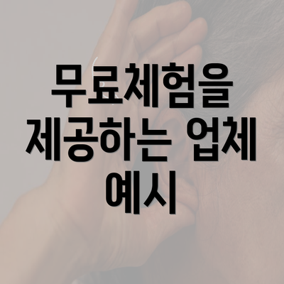 무료체험을 제공하는 업체 예시