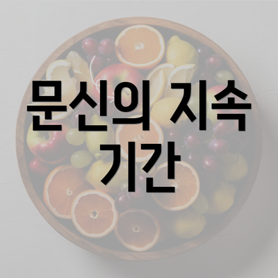 문신의 지속 기간