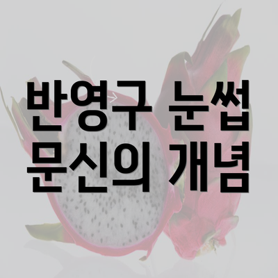 반영구 눈썹 문신의 개념