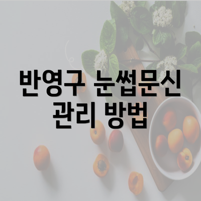 반영구 눈썹문신 관리 방법