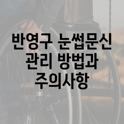 반영구 눈썹문신 관리 방법과 주의사항