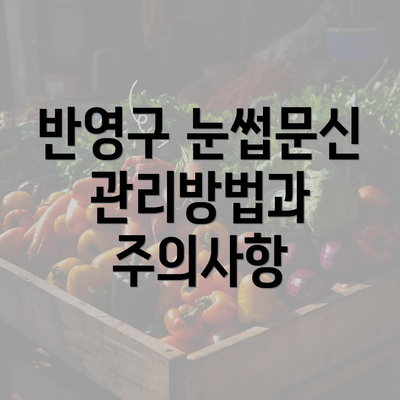 반영구 눈썹문신 관리방법과 주의사항