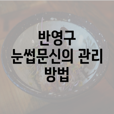 반영구 눈썹문신의 관리 방법