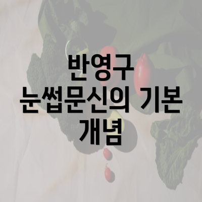 반영구 눈썹문신의 기본 개념