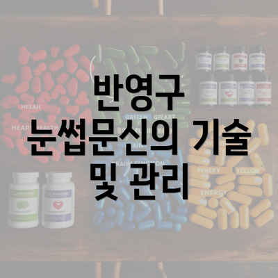 반영구 눈썹문신의 기술 및 관리