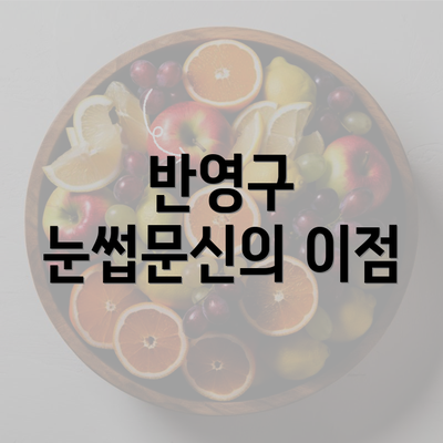 반영구 눈썹문신의 이점