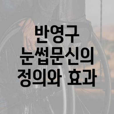 반영구 눈썹문신의 정의와 효과