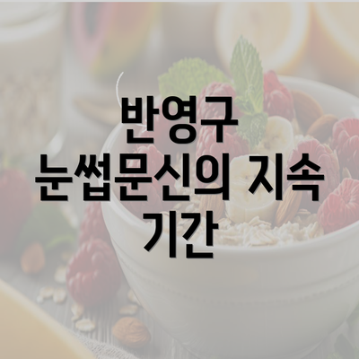 반영구 눈썹문신의 지속 기간