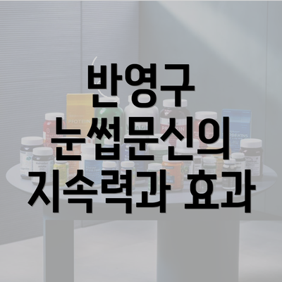 반영구 눈썹문신의 지속력과 효과