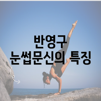 반영구 눈썹문신의 특징