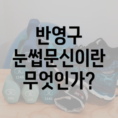 반영구 눈썹문신이란 무엇인가?