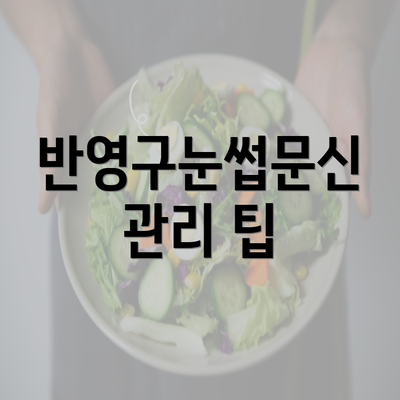 반영구눈썹문신 관리 팁