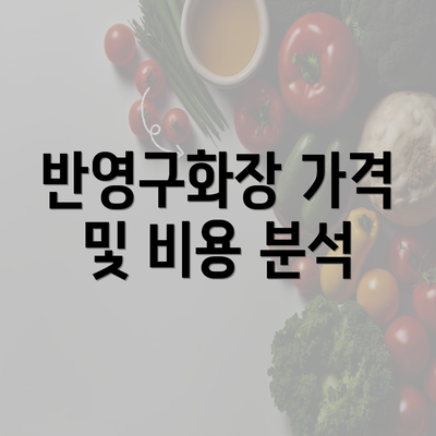 반영구화장 가격 및 비용 분석