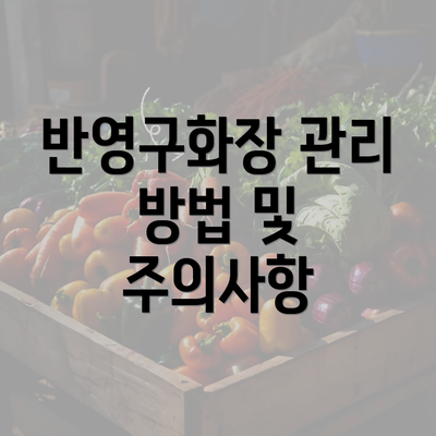 반영구화장 관리 방법 및 주의사항