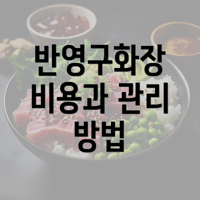 반영구화장 비용과 관리 방법