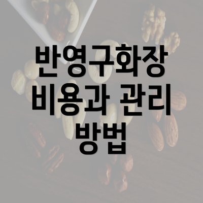 반영구화장 비용과 관리 방법