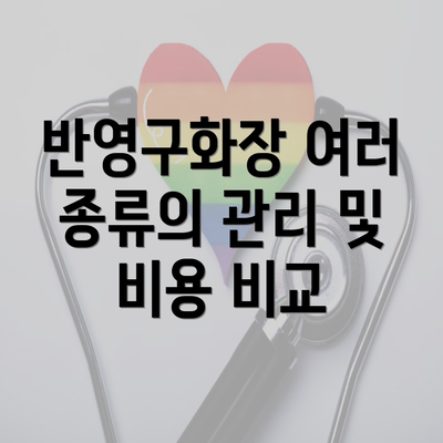 반영구화장 여러 종류의 관리 및 비용 비교