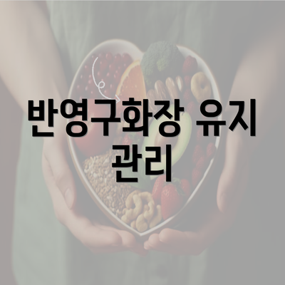 반영구화장 유지 관리