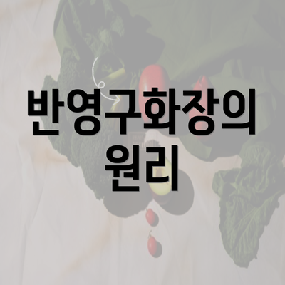 반영구화장의 원리