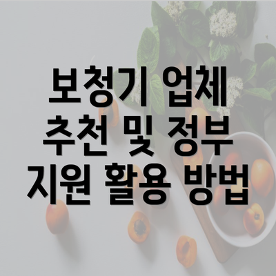 보청기 업체 추천 및 정부 지원 활용 방법