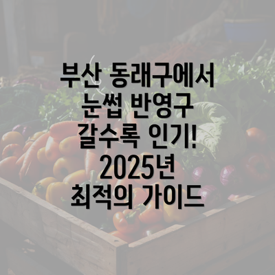 부산 동래구에서 눈썹 반영구 갈수록 인기! 2025년 최적의 가이드