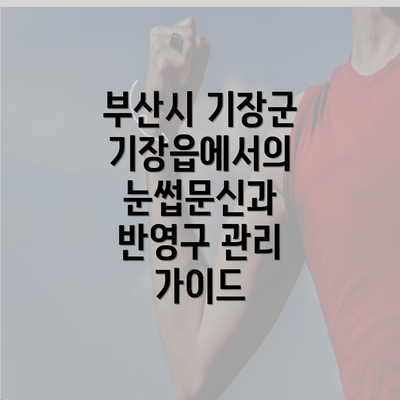 부산시 기장군 기장읍에서의 눈썹문신과 반영구 관리 가이드