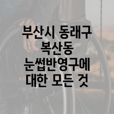 부산시 동래구 복산동 눈썹반영구에 대한 모든 것